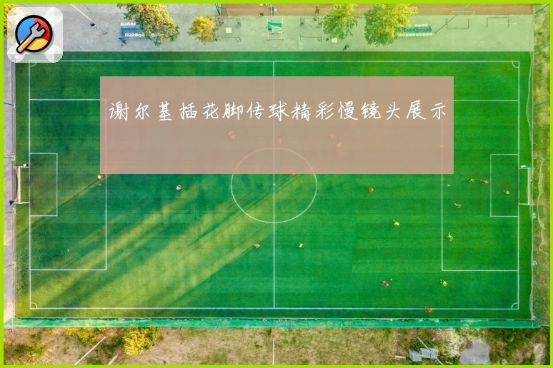 谢尔基插花脚传球精彩慢镜头展示