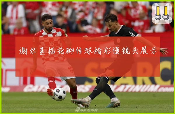 谢尔基插花脚传球精彩慢镜头展示