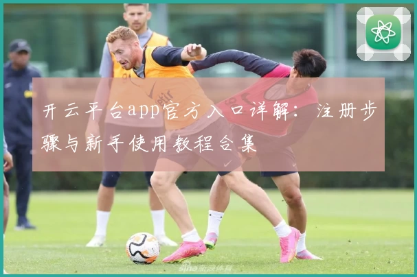 开云平台app官方入口详解：注册步骤与新手使用教程合集